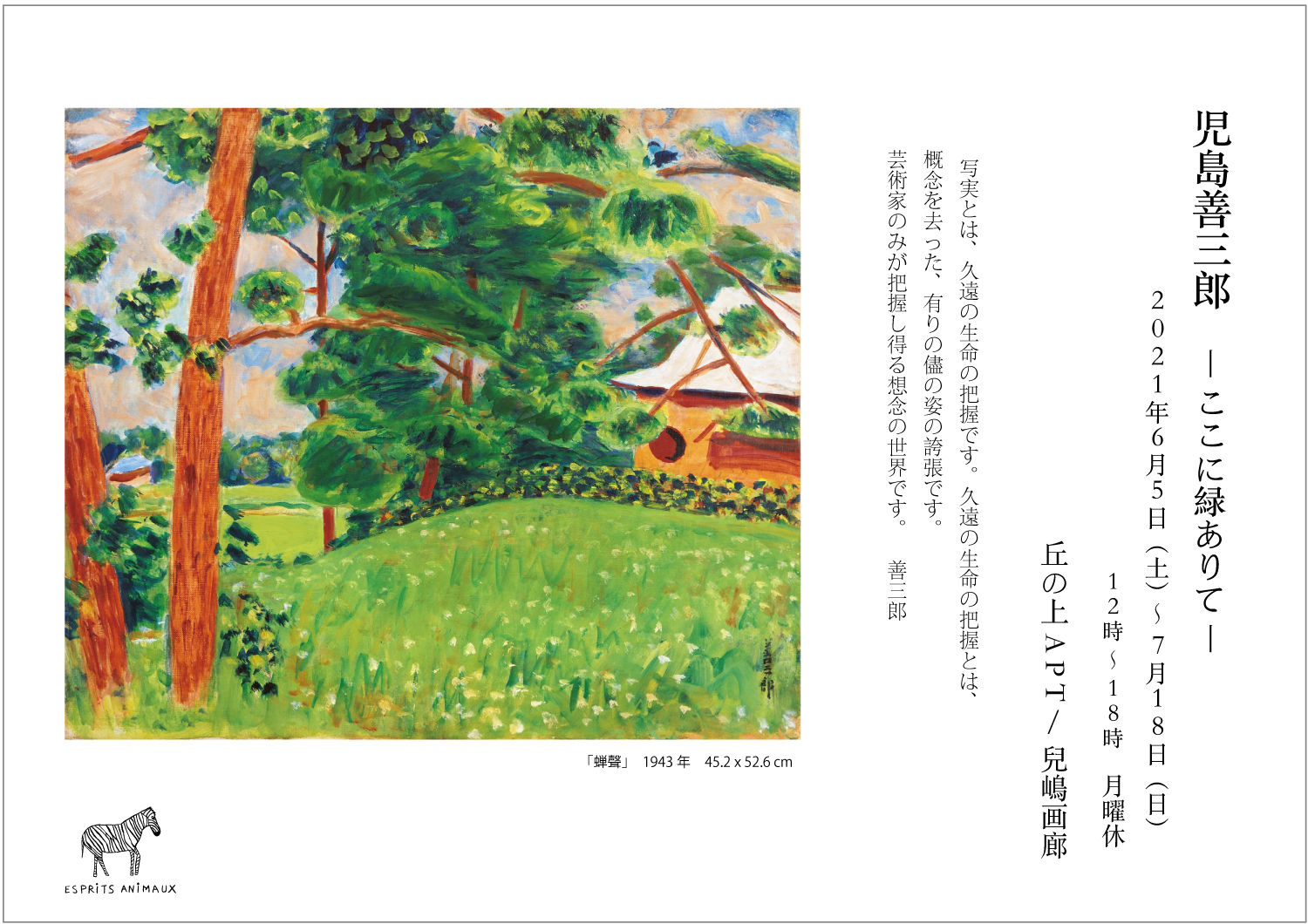 児島善三郎、ダリア、額装用画集の一部、希少、新品額付 忙しかっ 送料  